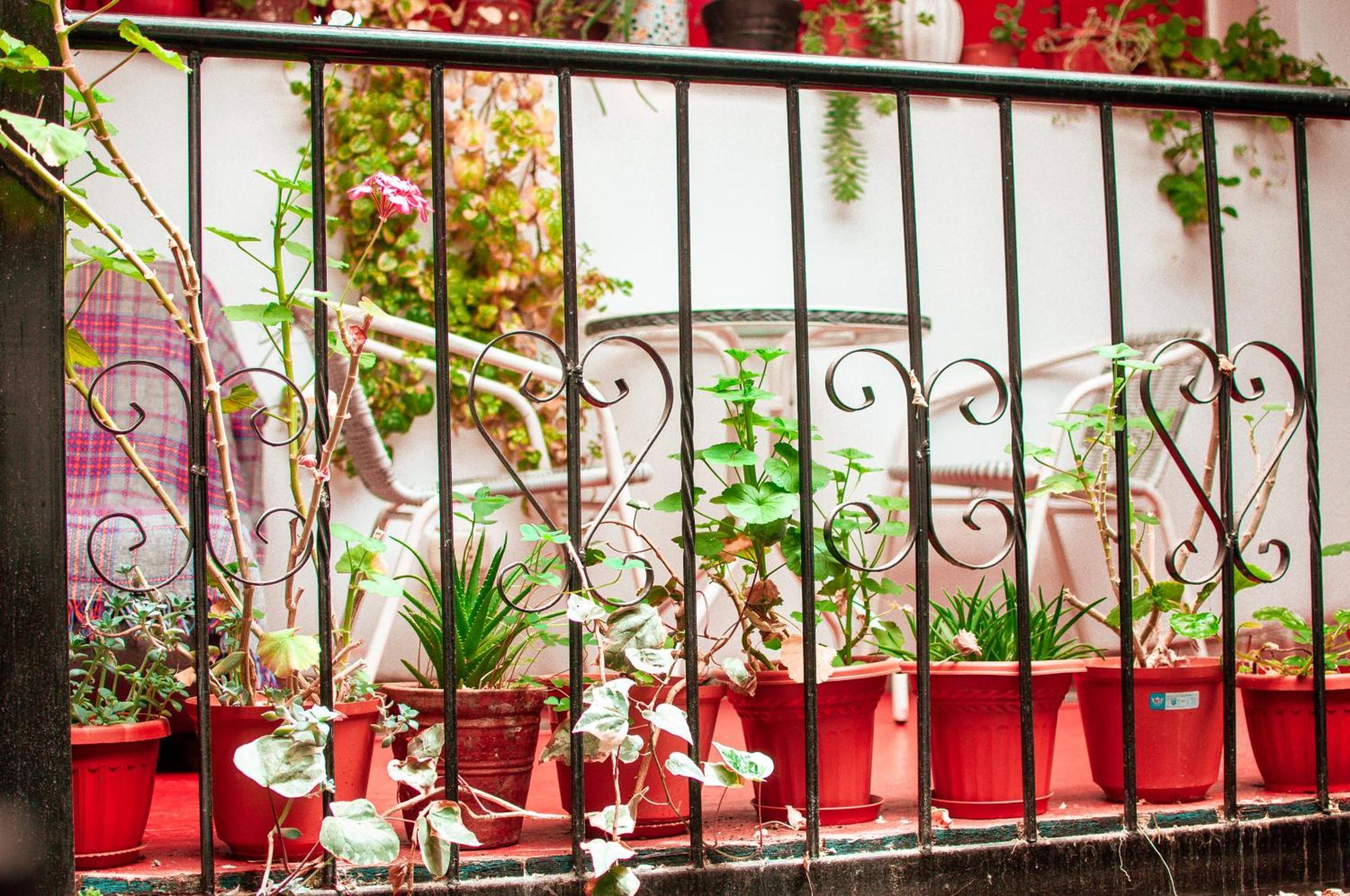 La Casa De Laura - Plaza Hotel Cuzco Buitenkant foto